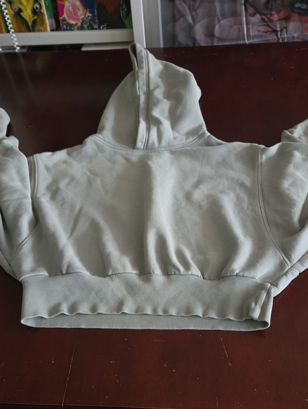 Cropped Hooded Sweatshirt - Sage Green